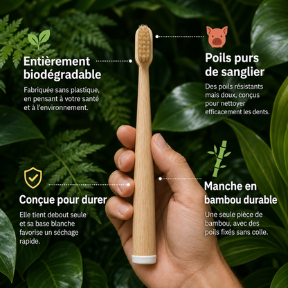 Brosse à dents CURVULA en poils de sanglier et bambou (paquet de 10)