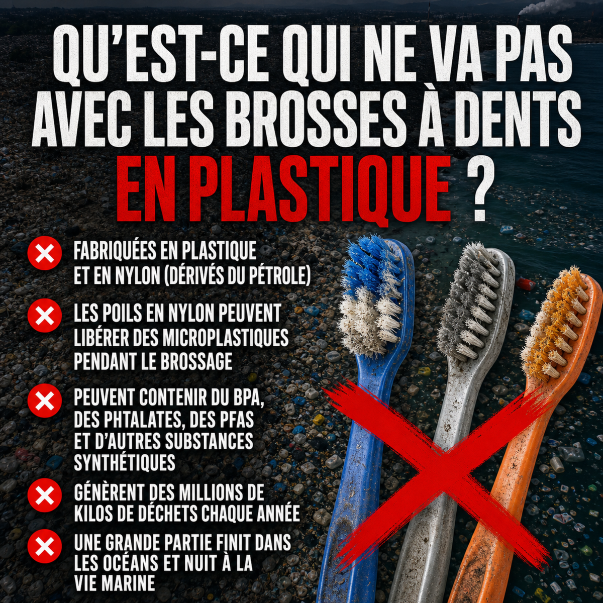 Brosse à dents CURVULA en poils de sanglier et bambou (paquet de 10)
