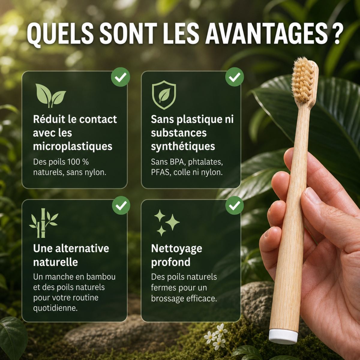 Brosse à dents CURVULA en poils de sanglier et bambou (paquet de 10)