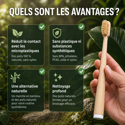 Brosse à dents CURVULA en poils de sanglier et bambou (paquet de 10)