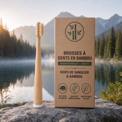 Brosse à dents CURVULA en poils de sanglier et bambou (paquet de 10)